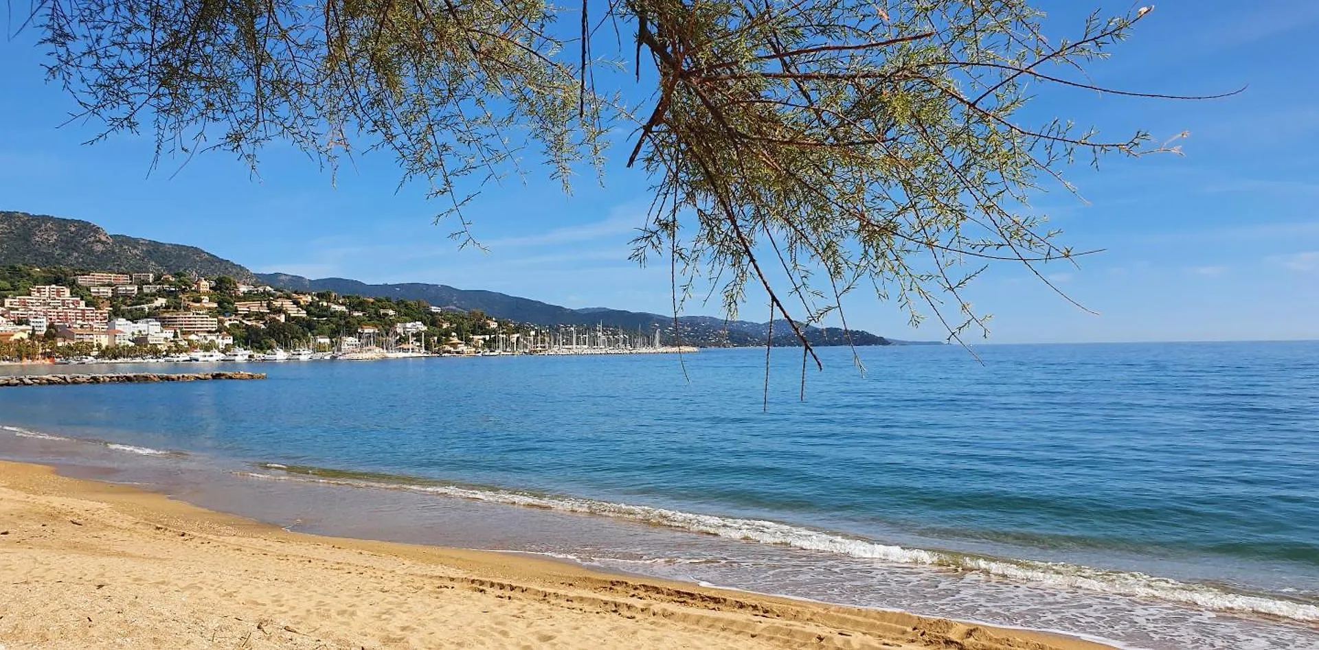 Cyclades Appartement Dans Residence Piscine Tennis Boulodrome Le Lavandou France